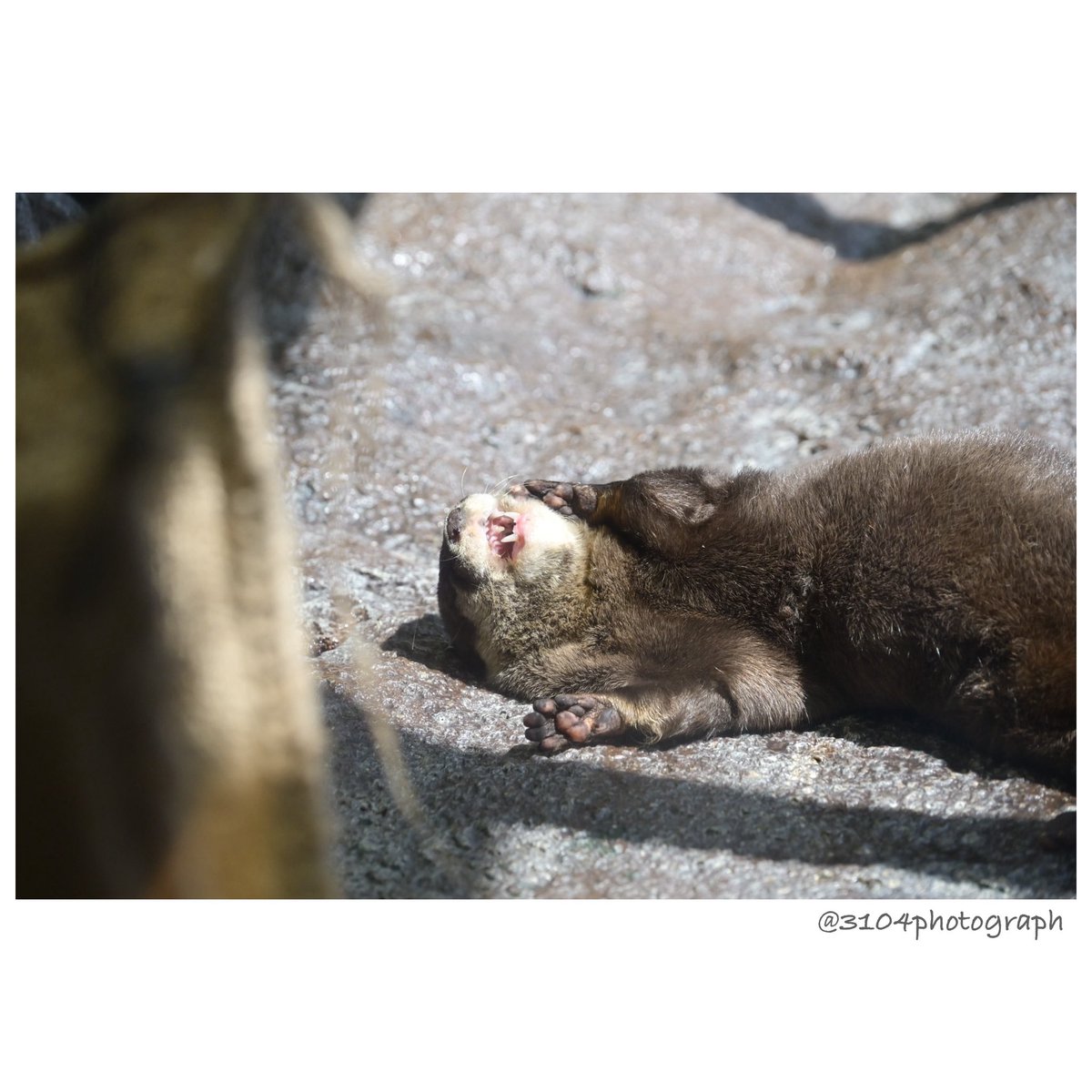 satoshi (@3104photograph) / Posts / X