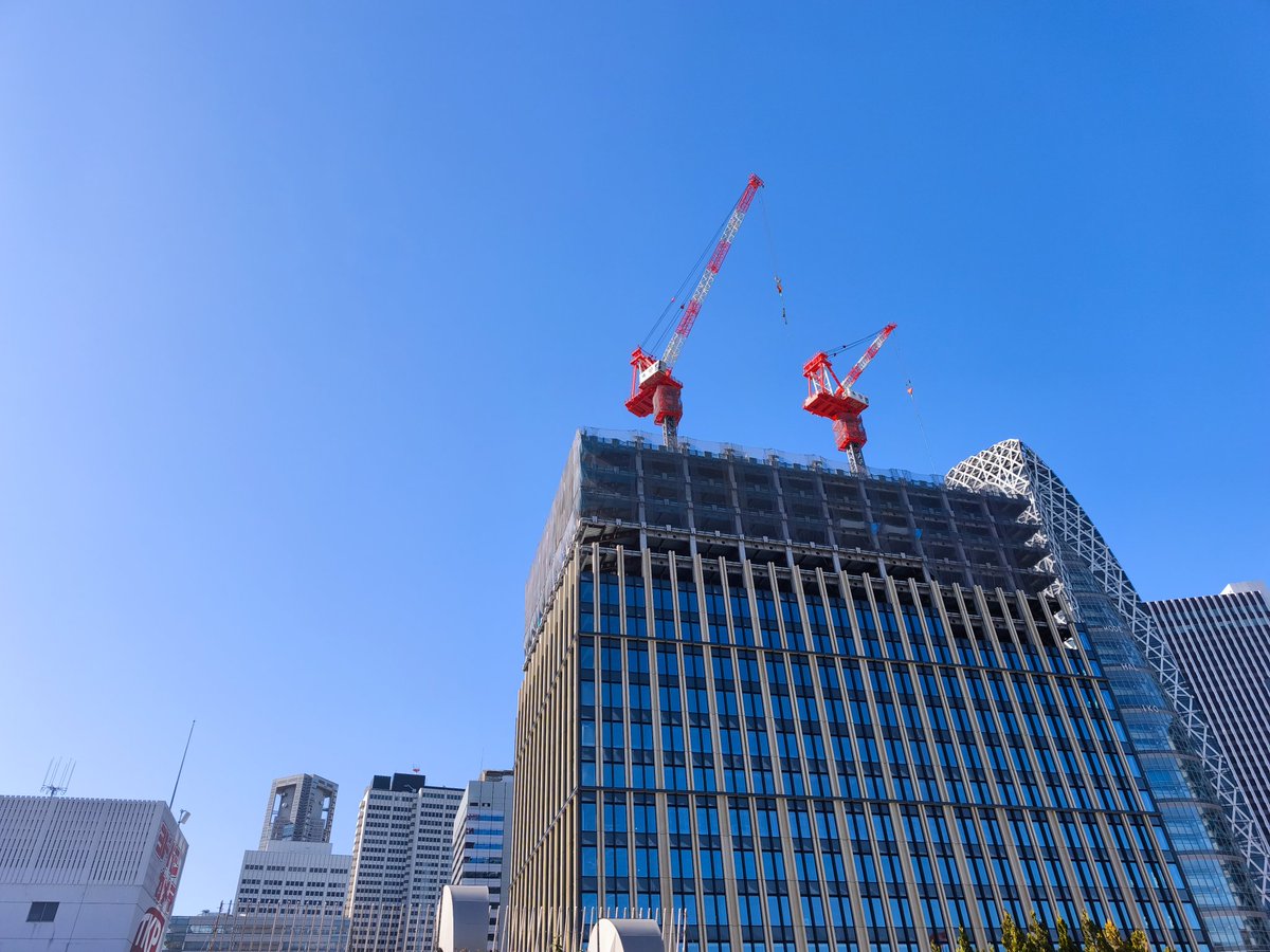 pu1go's tweet image. めっちゃいい天気。日向ぼっこ中。