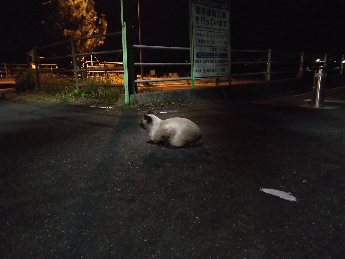 yorunekoin55's tweet image. #健康第一
#ランニング
中学校外周のランニング
3㎞コース程度
寒さに負けないための体力作り
ダイエットはしてません😌