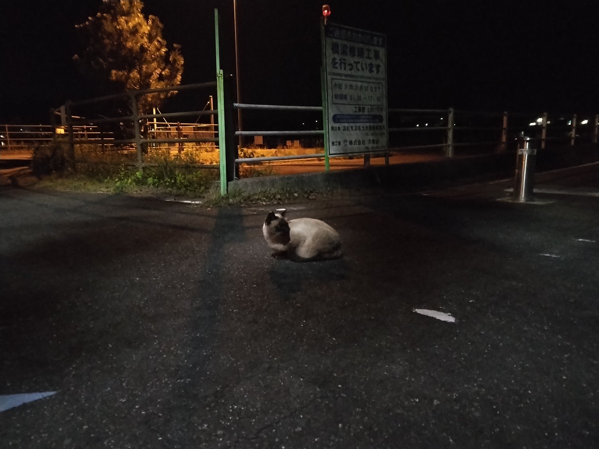 yorunekoin55's tweet image. #健康第一
#ランニング
中学校外周のランニング
3㎞コース程度
寒さに負けないための体力作り
ダイエットはしてません😌