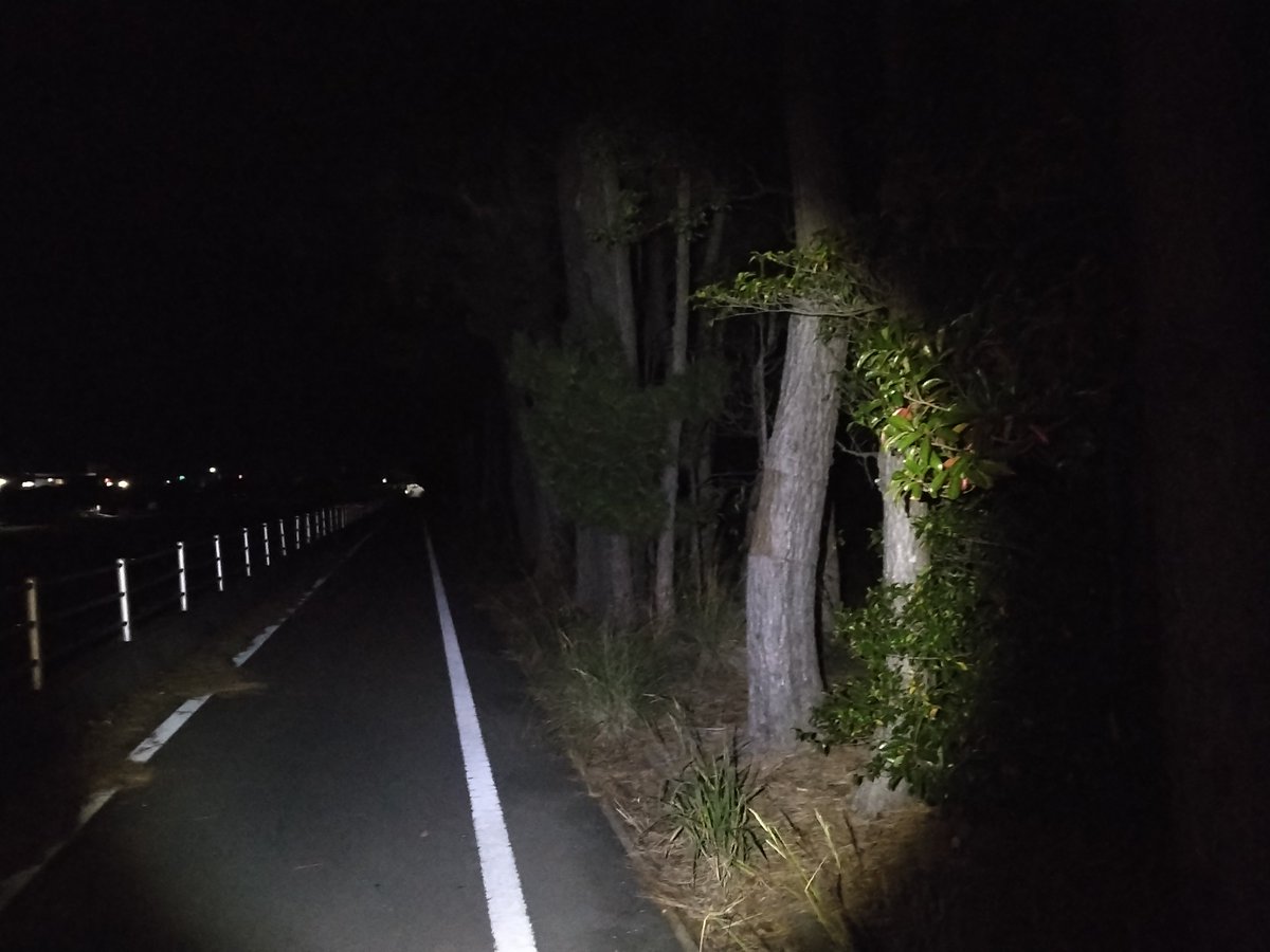 yorunekoin55's tweet image. #健康第一
#ランニング
中学校外周のランニング
3㎞コース程度
寒さに負けないための体力作り
ダイエットはしてません😌