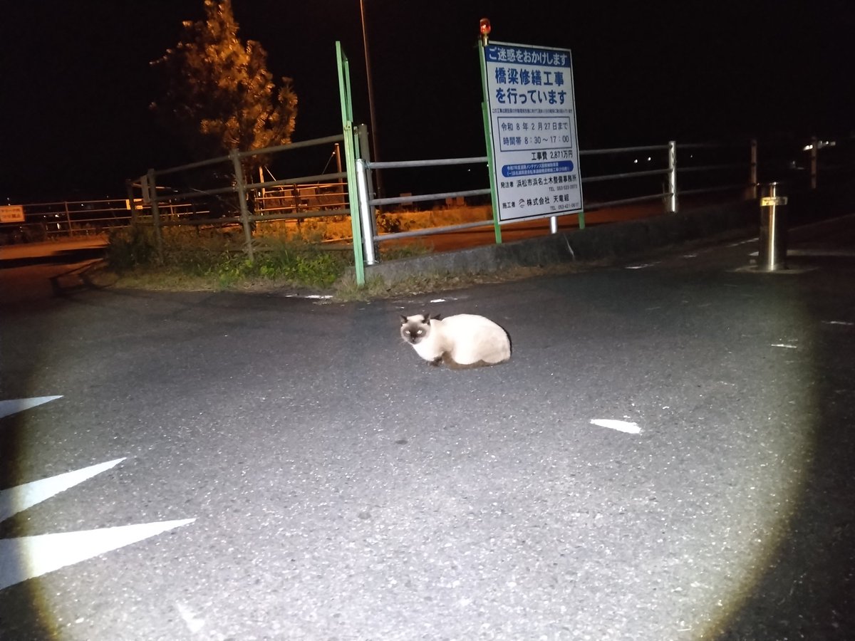 yorunekoin55's tweet image. #健康第一
#ランニング
中学校外周のランニング
3㎞コース程度
寒さに負けないための体力作り
ダイエットはしてません😌