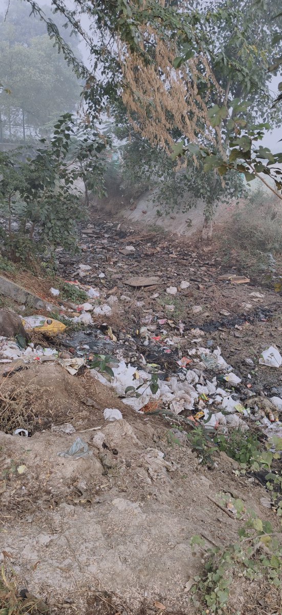 anand_rana's tweet image. उत्तर पश्चिम दिल्ली के कुतुब गढ़ गांव में मंगेश पुर ड्रेन की बदतर हालत। उपराज्यपाल के मॉडल विलेज कुतुब गढ़ में ड्रेन के अंदर प्लास्टिक कचरे की भरमार के चलते बीमारियां फैल रही हैं। भूजल जहरीला हो रहा है।
@narendramodi @PMOIndia @LtGovDelhi @gupta_rekha #delhi #pollution