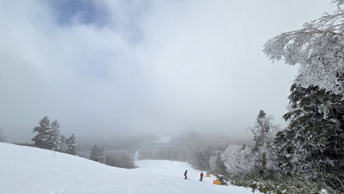 kimurafuck's tweet image. &quot;スバリスト&quot;の顔つきでスノボシーズンインです。