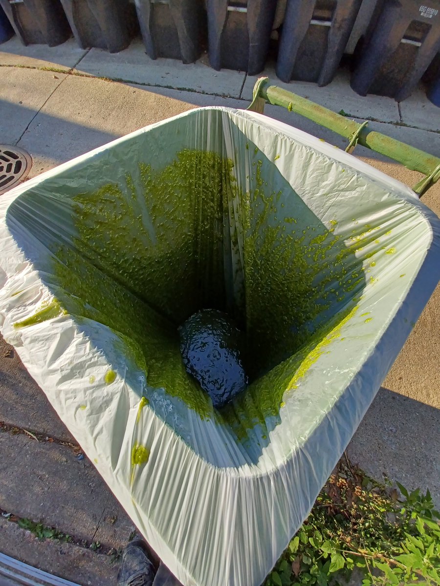DemiMaxWebspace's tweet image. this trash can full of pesto