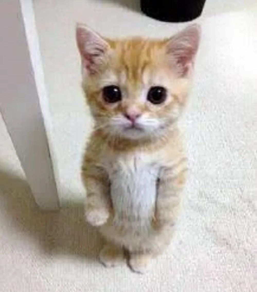 Good Morning, Filters And Gentleman 🙂