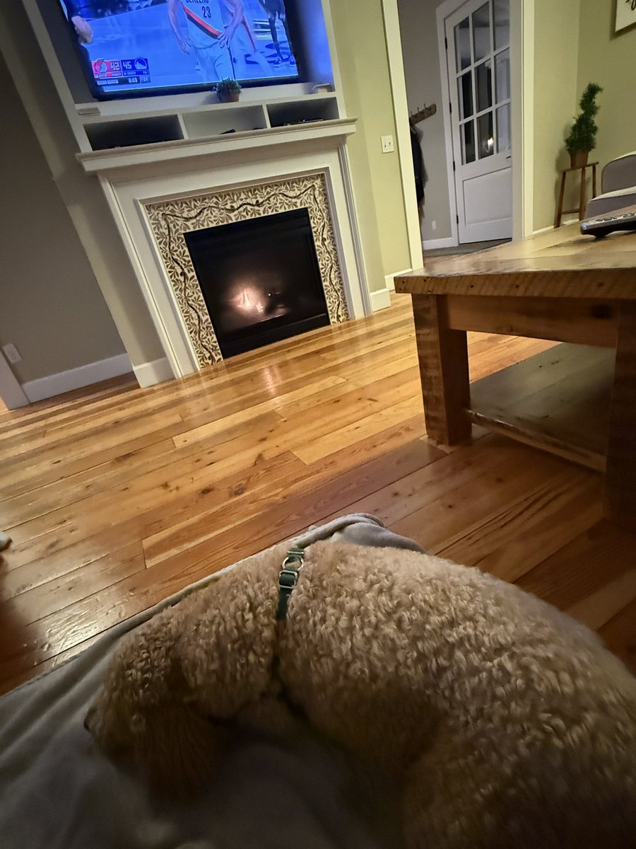 _jeremy_two's tweet image. The pup, a fire, the Blazer game. Happy Friday night