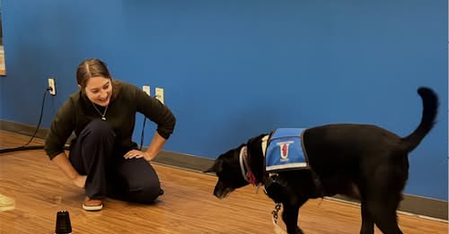 Anna makes the Pace News Again!
<a href="/PaceUniversity/">Pace University</a> <a href="/DysonCollege/">Dyson College of Arts and Sciences</a> 
pacechronicle.com/showcase/2025/…