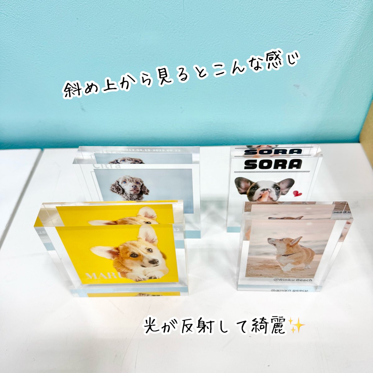 55_nishibi's tweet photo. アクリルブロックの新デザイン始めました〜！！
約3週間後のお仕上げです！
＋550円で1週間後仕上げも可能！
クリスマスのプレゼントにどうぞ！🎄
#アクリルブロック #クリスマスプレゼント https://t.co/afg3sCk7G4