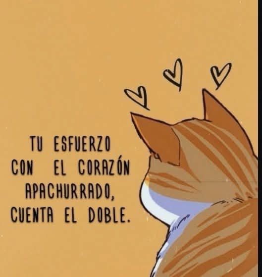 SrGuapo (@guapoinspirado) on Twitter photo 