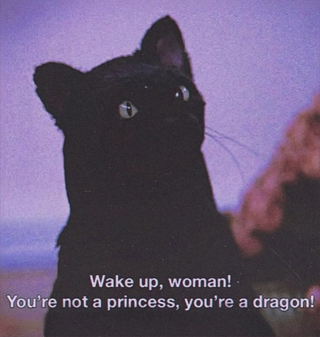 Калина (@karinakremench1) on Twitter photo 