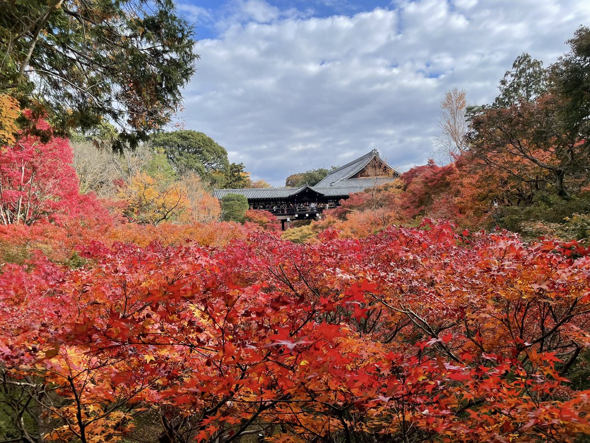 あずさ🛋️🌃🎄 (@azzzzzzusa) / Posts / X