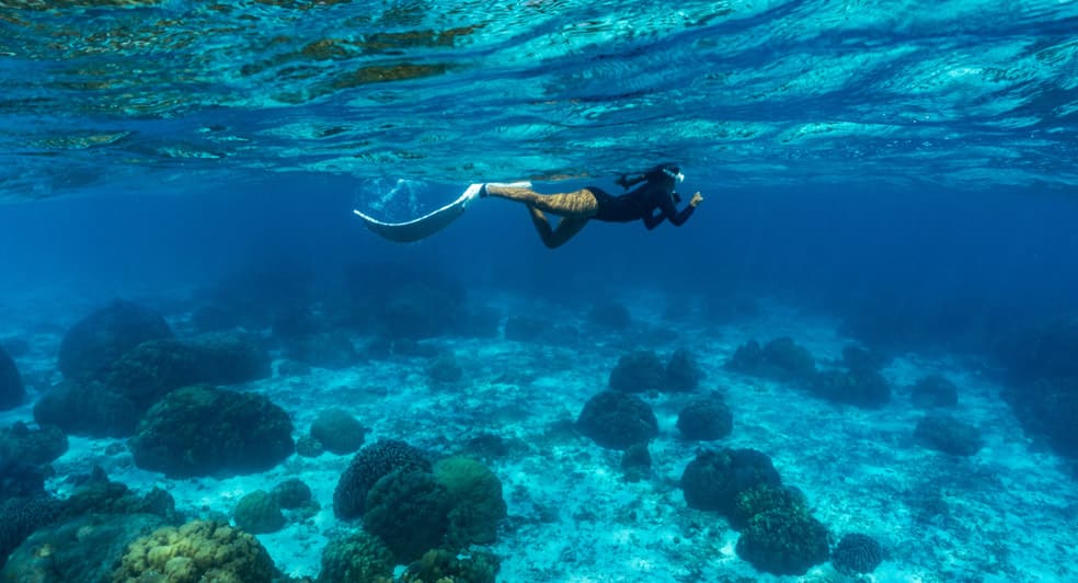 Entertain94's tweet photo. Discover the hidden wonders of the Gulf of Thailand, where breathtaking dive spots await. Sail Rock, a popular haven for whale sharks during peak season, is just a day-trip away from Avani Chaweng Samui Hotel &amp; Beach Club. 

>>>https://t.co/7Q6o0ALfC4 https://t.co/GlIGvyX0fO
