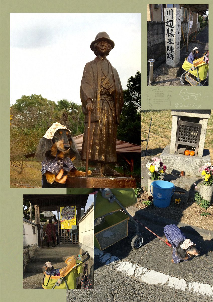 今年も過去画像でエア参加
皆様が楽しまれますように
※愛犬は2021年に虹の橋方面に旅立ちました※
#千金　#1000人の金田一