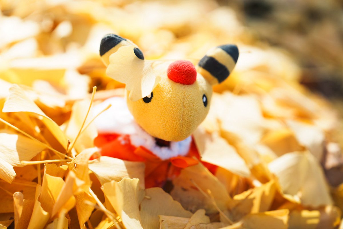 skypoke_ar's tweet photo. デンリュウと秋満喫してきた💛 https://t.co/d9q7LW4GJv