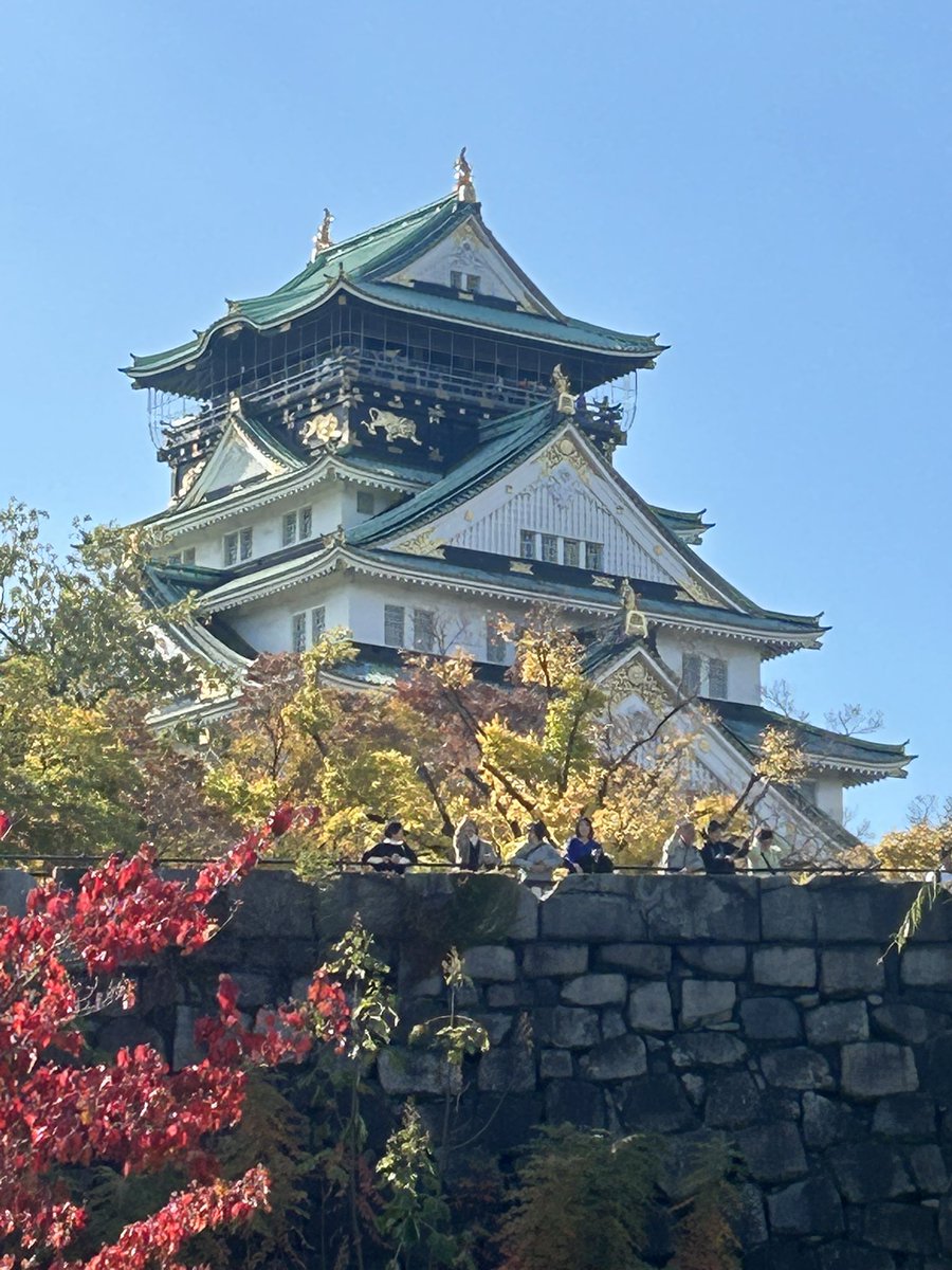 jangoool's tweet image. 大阪城