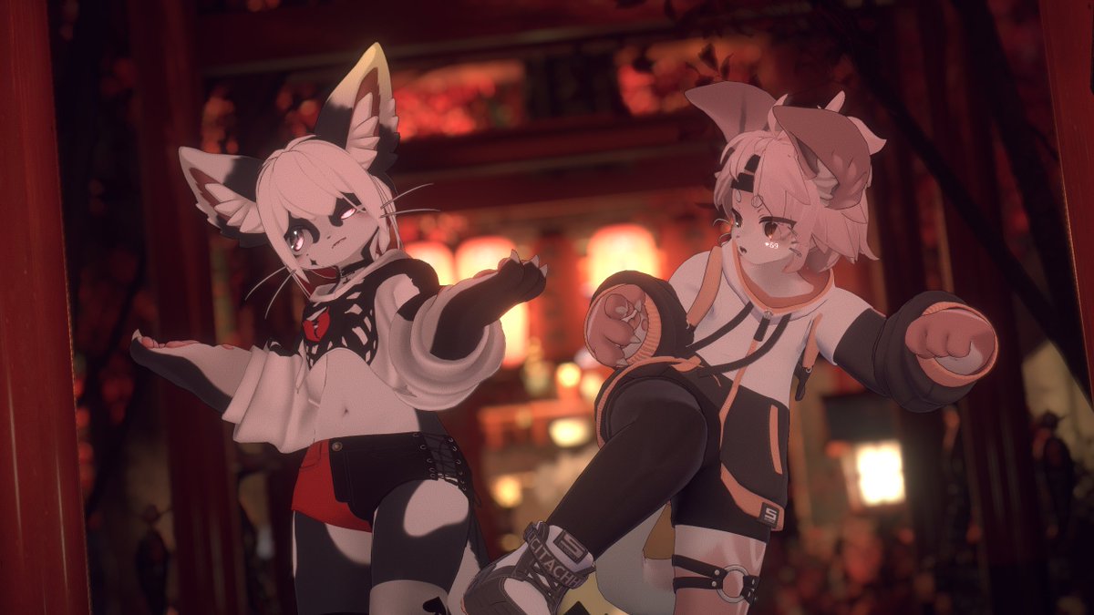 Mado (@shin1761289) on Twitter photo 