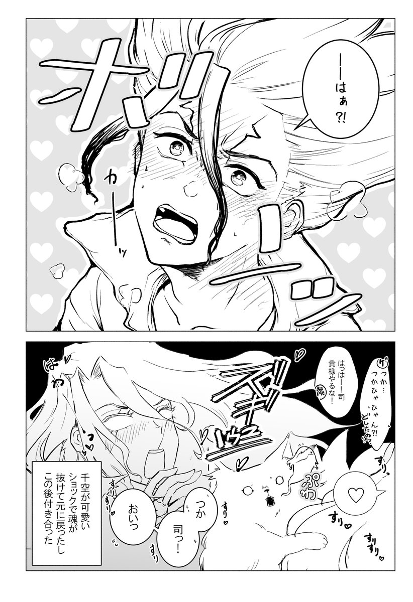 oshisukkiaka's tweet image. いいにゃんにゃんの日　司千再掲