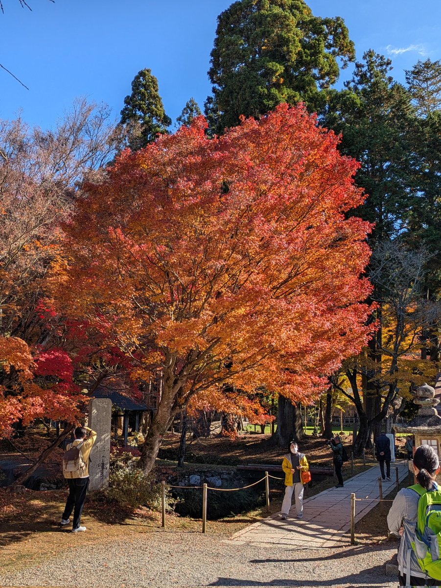 三連休でよい天気だったので和歌山の丹生都比売（にうつひめ）神社に行ってきました⛩️
国宝に指定されていて高野山と関連がある神社みたいです。
ここの主祭神は、天照大御神の御妹神らしく、あの真田幸村も崇敬していたみたいです。
