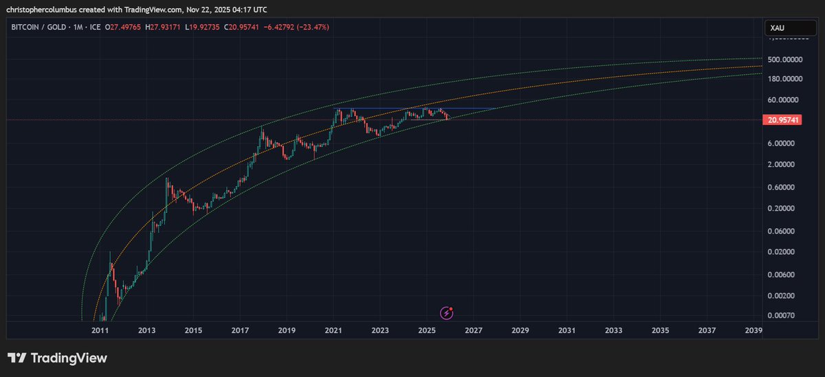 dave the wave🌊🌓 tweet media