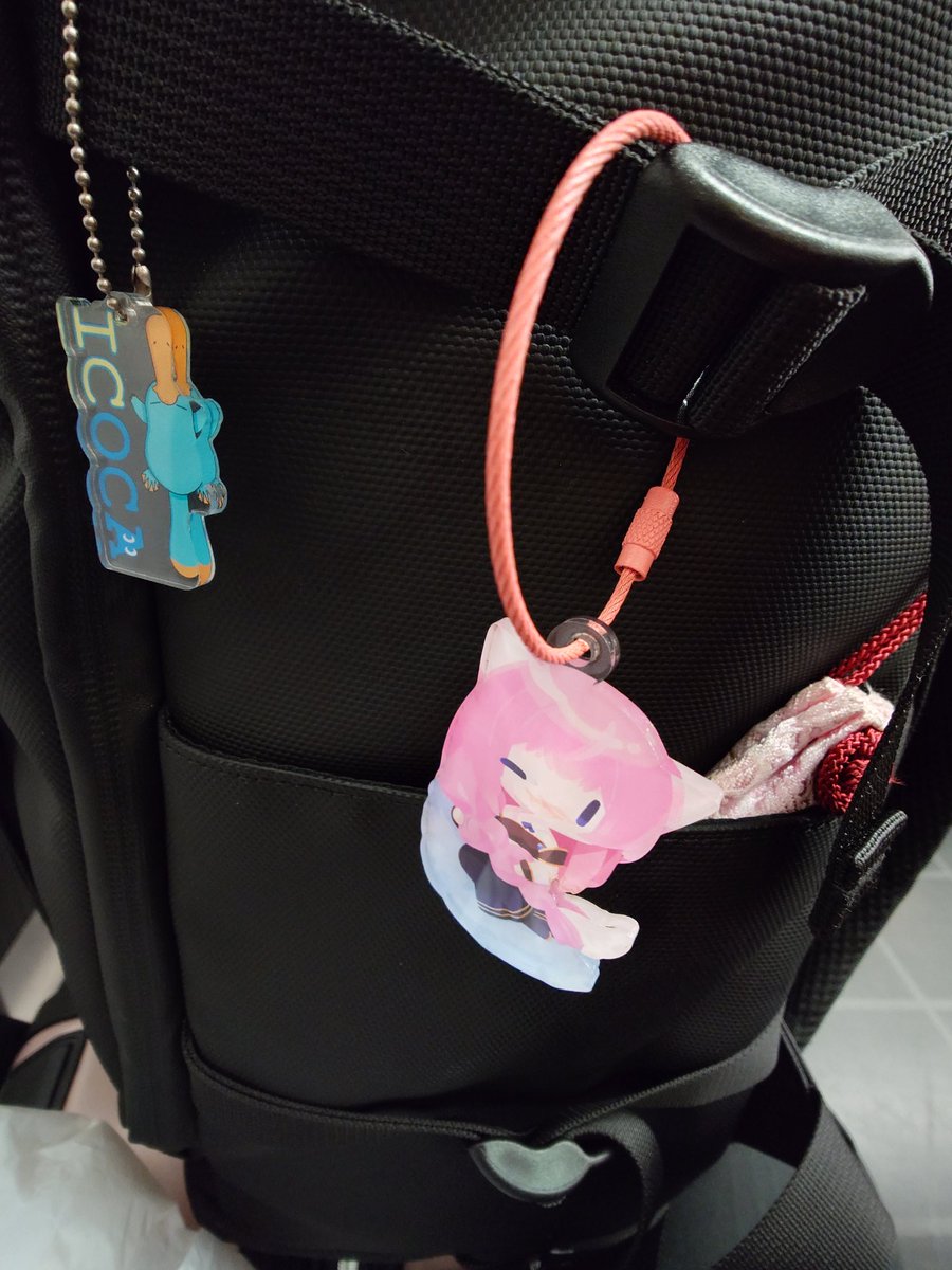 今回の遠征のお伴はにゃんさん（<a href="/shinyaemew/">にゃん🍨</a> ）のにゃんルカちんです（*´▽｀*）