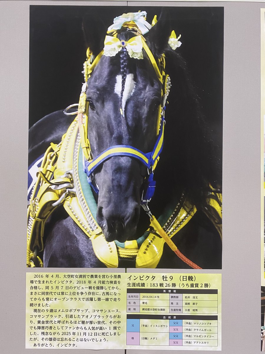 annindoufu_u_'s tweet image. 帯広競馬場１階入口すぐのインフォメーションにインビクタの献花台が設置されています

第1回能力検査から大一番ばんえい記念まで
インビクタの活躍を写真で紹介しています

12月1日までです
