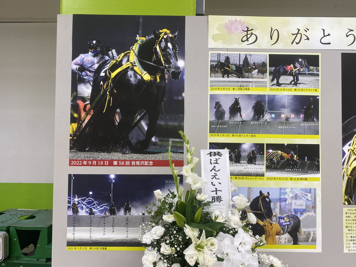 annindoufu_u_'s tweet image. 帯広競馬場１階入口すぐのインフォメーションにインビクタの献花台が設置されています

第1回能力検査から大一番ばんえい記念まで
インビクタの活躍を写真で紹介しています

12月1日までです