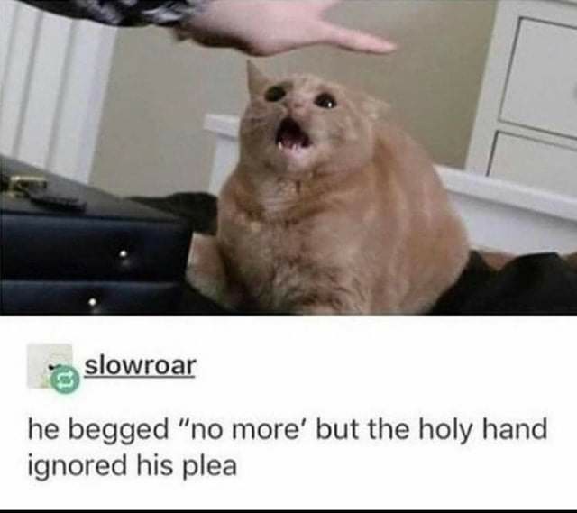 Punch Cat (@punchingcat) on Twitter photo 