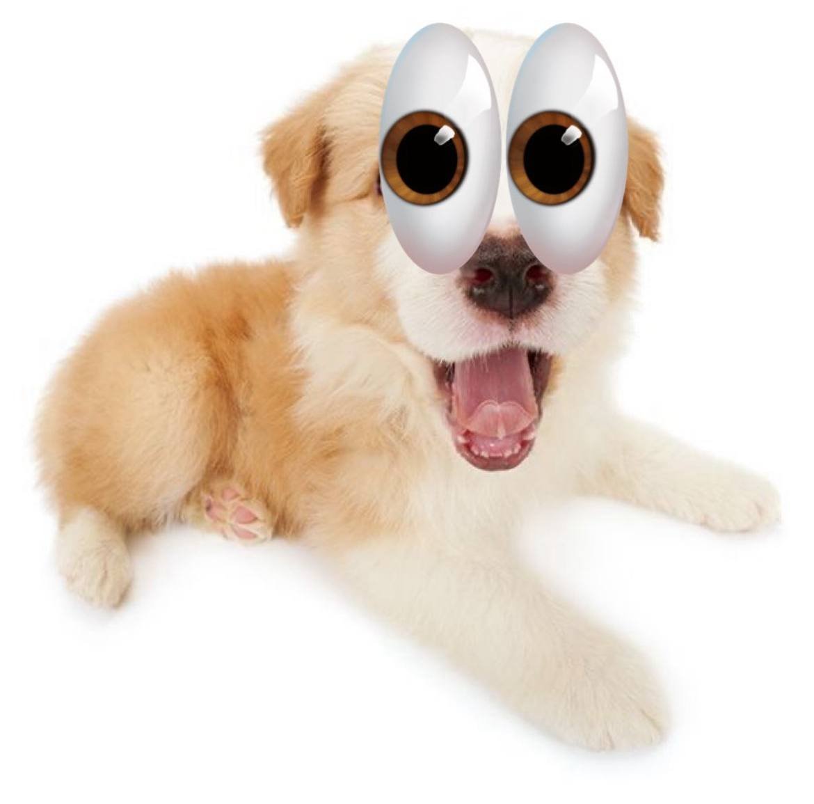 I'm noticing everything 👀