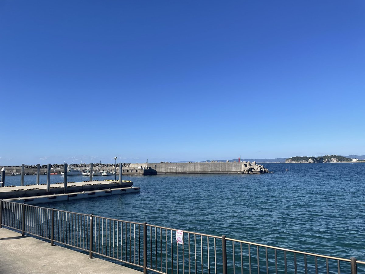 🌱壱宮コノハ🌱 tweet media