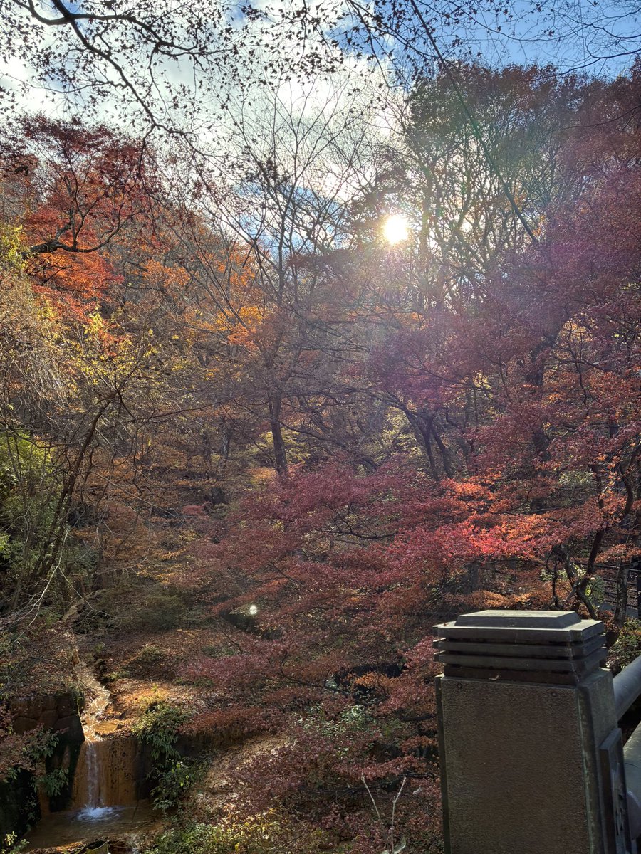 tomozu_onmusu's tweet image. 河鹿橋の紅葉もまもなく終わりですかね🍁
それにしてもいい天気やなぁ☀️.°

#伊香保温泉
#河鹿橋