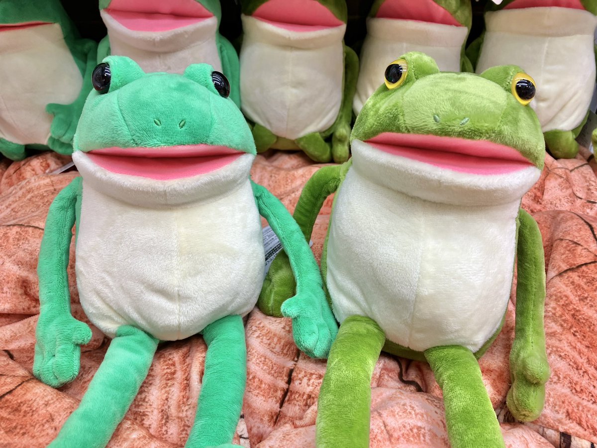 プライズ】新景品🎶おとぼけケロピョンころりんギミック2が登場いたし