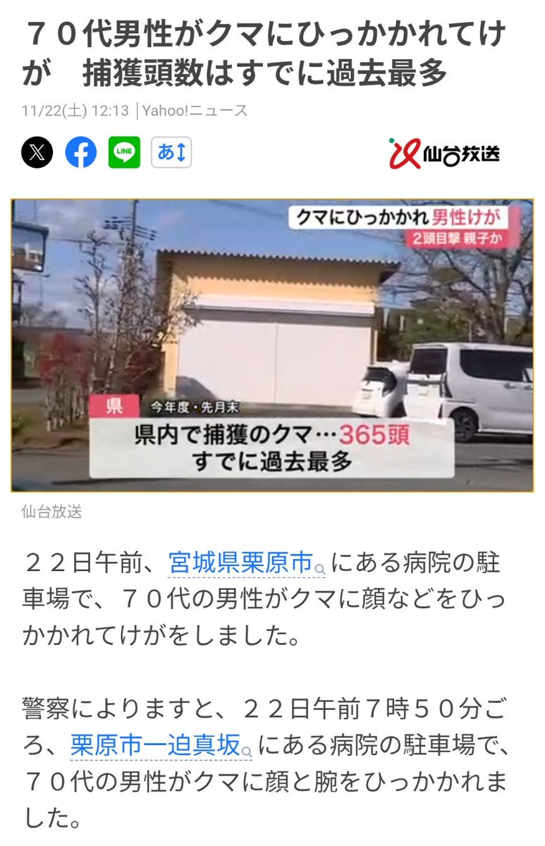 kumamoriBranch's tweet image. 驚いた子連れの母に引っかかれたようですが山から徒歩圏内ではバッタリ遭う事も想定しておく必要がありますね。殺しても殺しても事故は防げないということです。やたら殺そうとせずに冷静に見守る対応もしないと、熊が、人は命を狙ってくる攻撃的な生物だと学習し、逆に危険 
news.yahoo.co.jp/articles/afeb9…