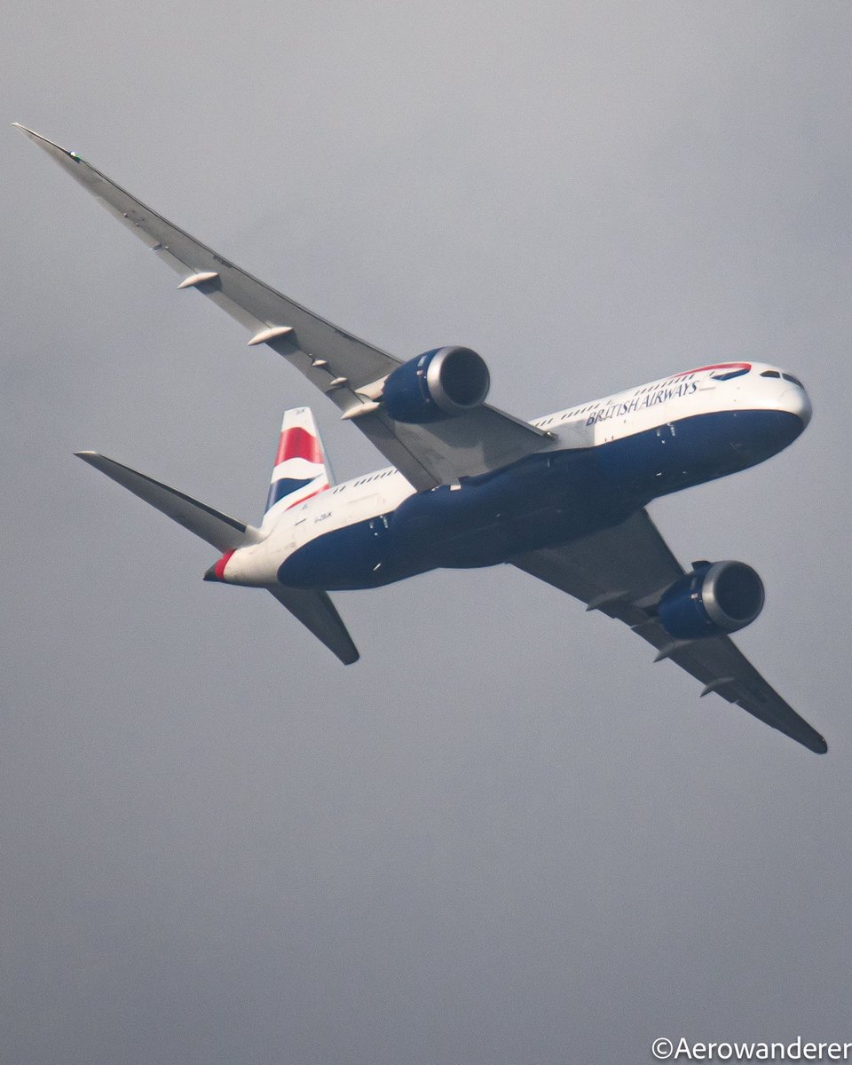 Aerowanderer tweet media
