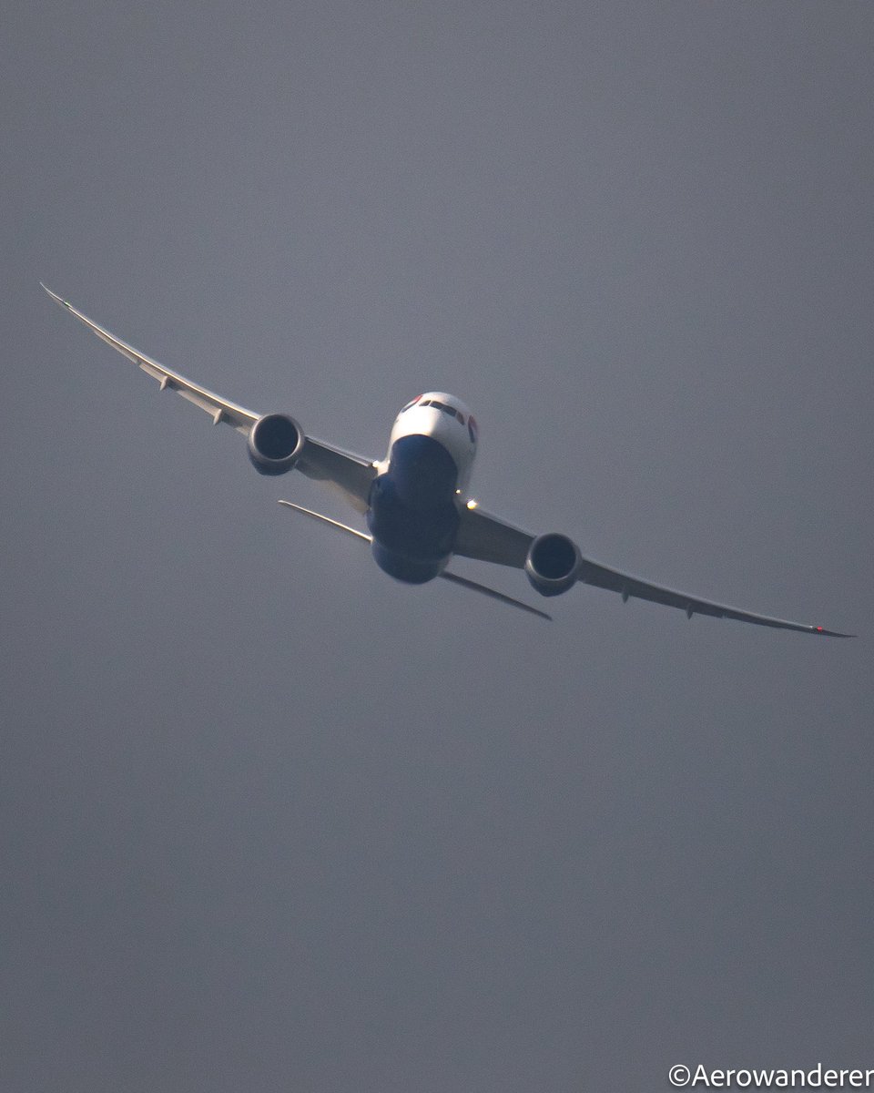 Aerowanderer tweet media