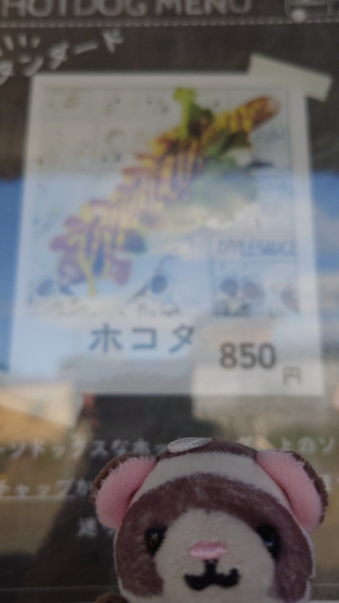 5RGqDpCgJqFjWDH's tweet image. 🌭お昼ごはーん🤤
🐶ʕ°⌓° ʔおや？

#CCC🌭 #chika_chan_chi