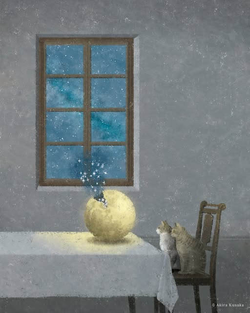 ©︎ Akira Kusaka⁣