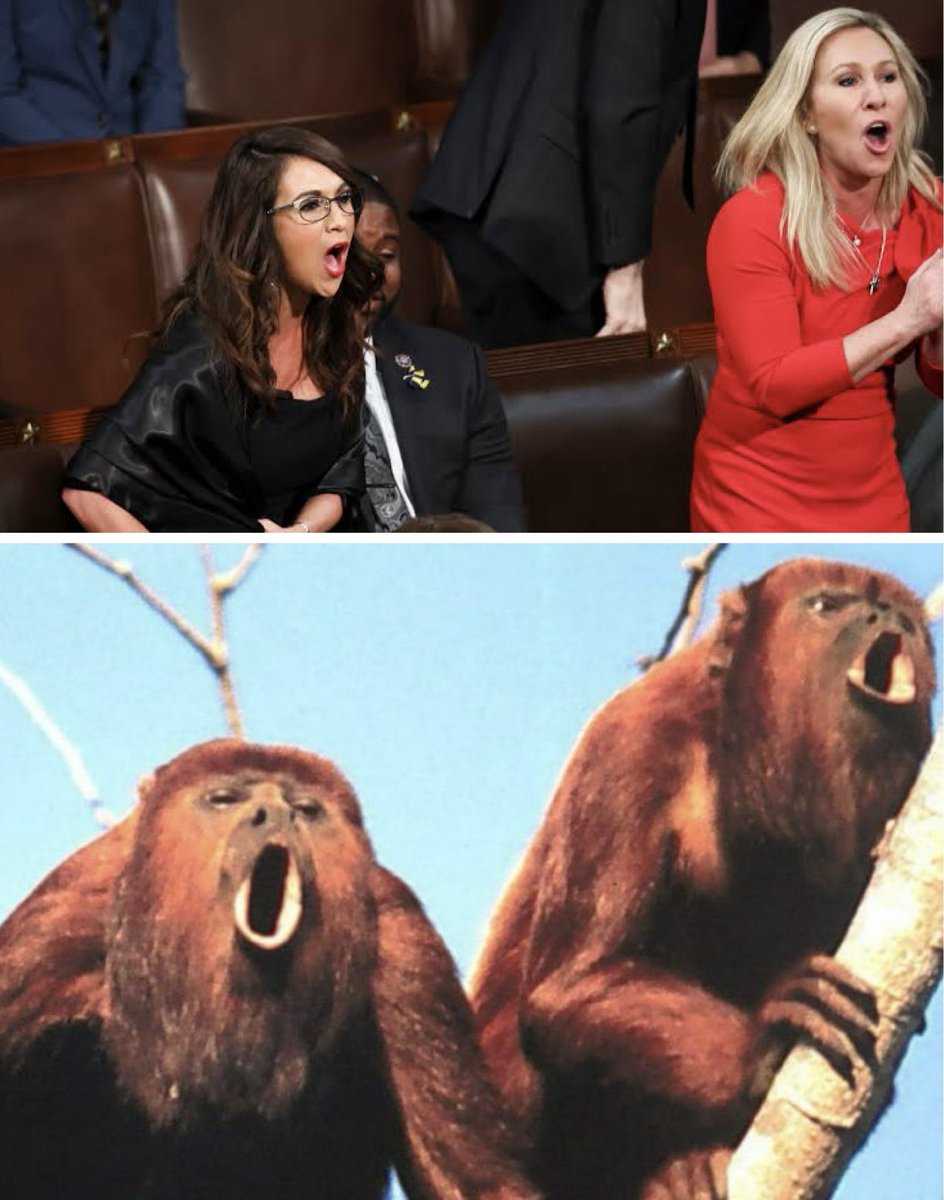 A heartbroken Lauren Boebert: “Who am I supposed to howl with now that Marge is gone?”