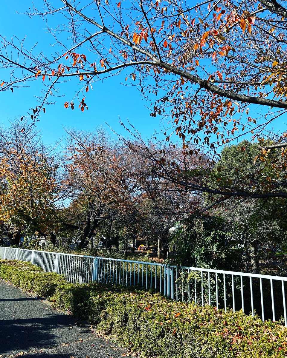 ko_sukeD's tweet photo. 退院した。
人工肛門が無い日常
久しぶりだ

泣けてくる https://t.co/OV7Y9EX21Z