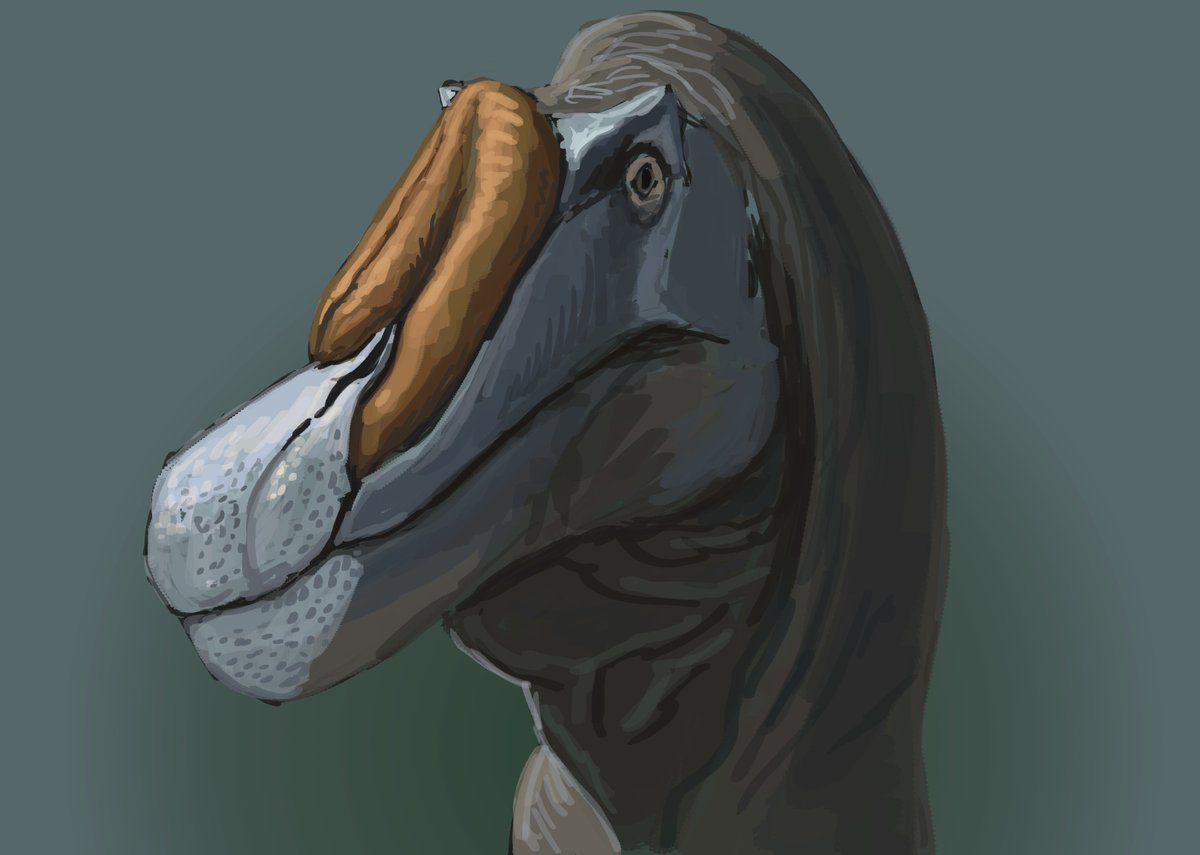 JoschuaKnuppe's tweet photo. Results from the Flocking #paleostream! 
Lepidodendron, Baryonyx, Champsosaurus and Genyornis. https://t.co/zImrkRgj9d