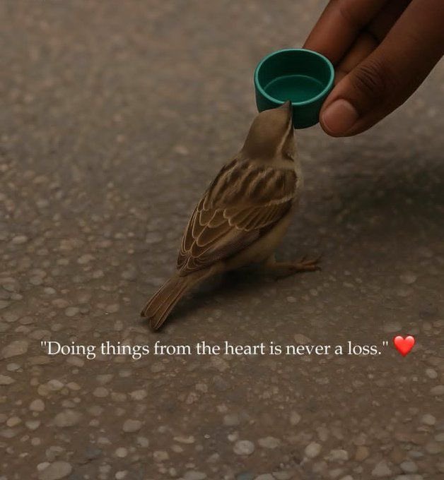 Sammykros05's tweet image. GM GM CT.

Happy Wednesday legends.

What’s the move today?

Well… remember @0xMiden is pushing next-gen zero-knowledge execution fast, private, and built for real scaling.

@GOATRollup keeps pulling Bitcoin deeper into DeFi with a clean, efficient ZK rollup that actually feels…