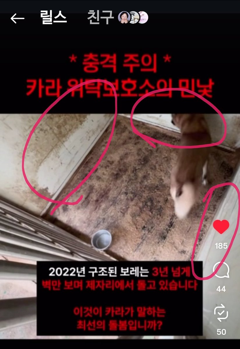 헐 저거 봐 
개는 나가고 싶어서 빙글빙글 도는데 저 견사 청소 안해서 개 지나가는 부분만 깨끗함 ...
개 위탁소 다 저런거임....?