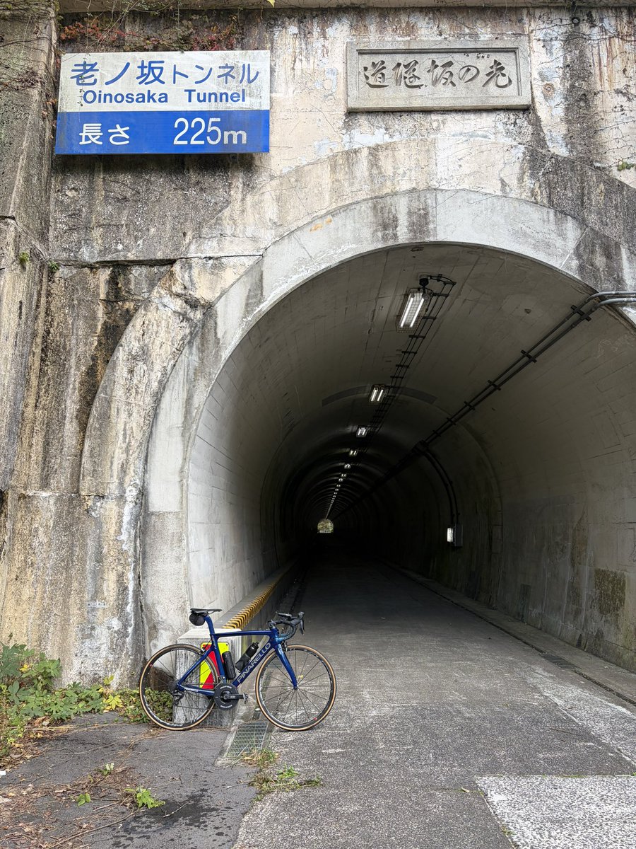 y30c's tweet image. キャノンボーラーは豪脚やから後ろシフトワイヤー切れてても老ノ坂くらいは登れるの普通エヘン