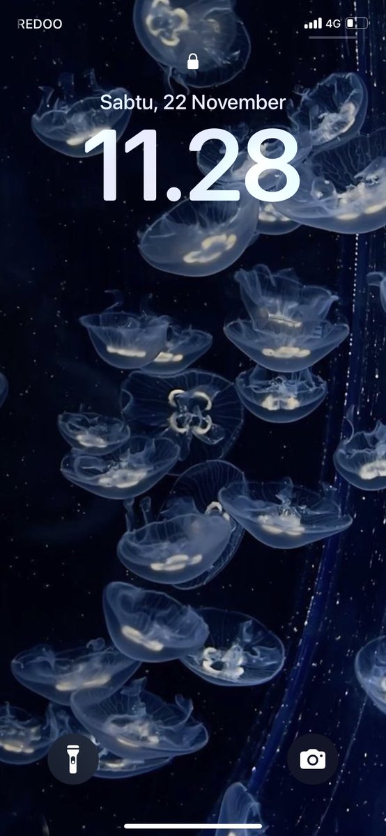 suspiciouschan's tweet image. 𓆝 𓆟 blue yellow theme 𓆞 𓆝