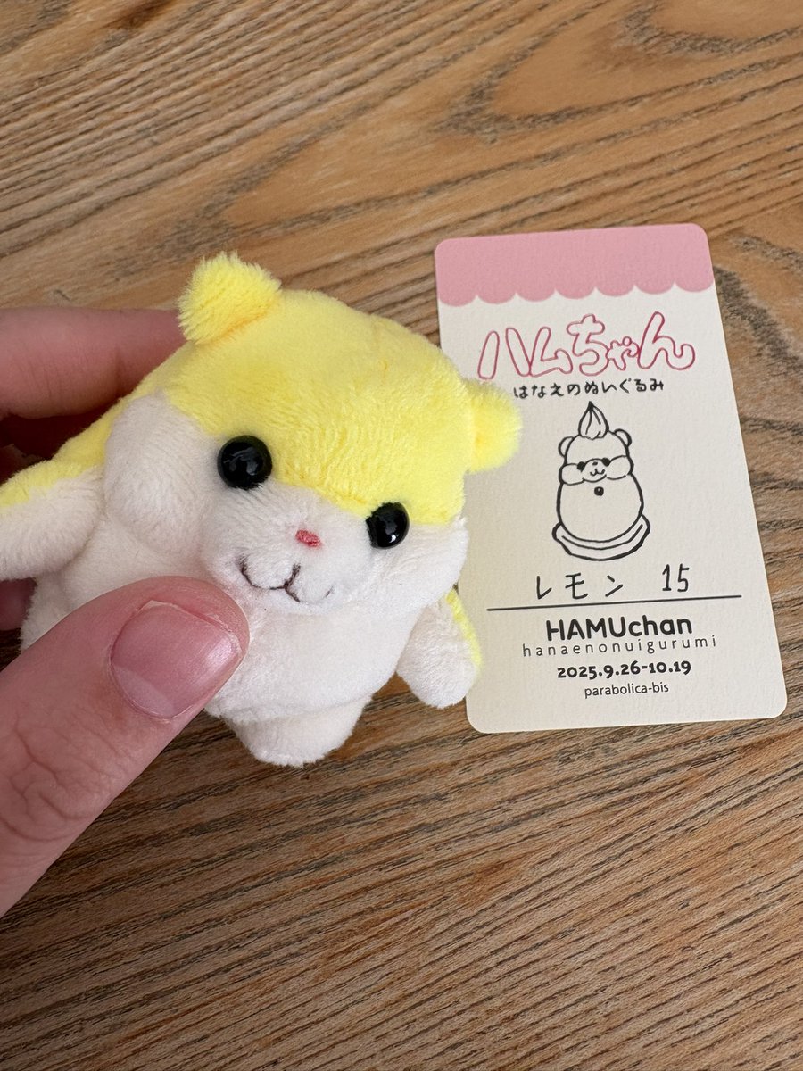 ハムちゃん＋Project (@HamuKikaku) / Posts / X