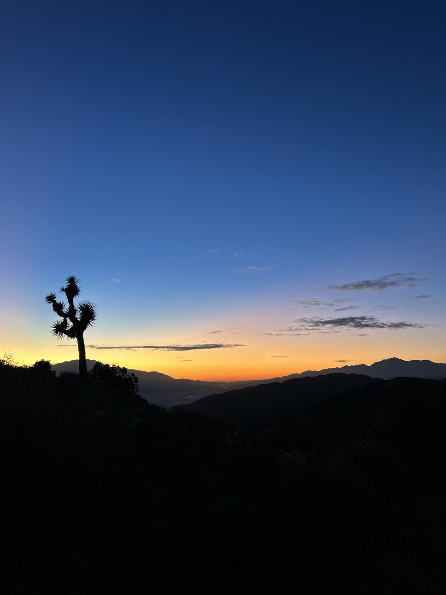 6batsinacoat's tweet image. okay okay last pictures from joshua tree :)