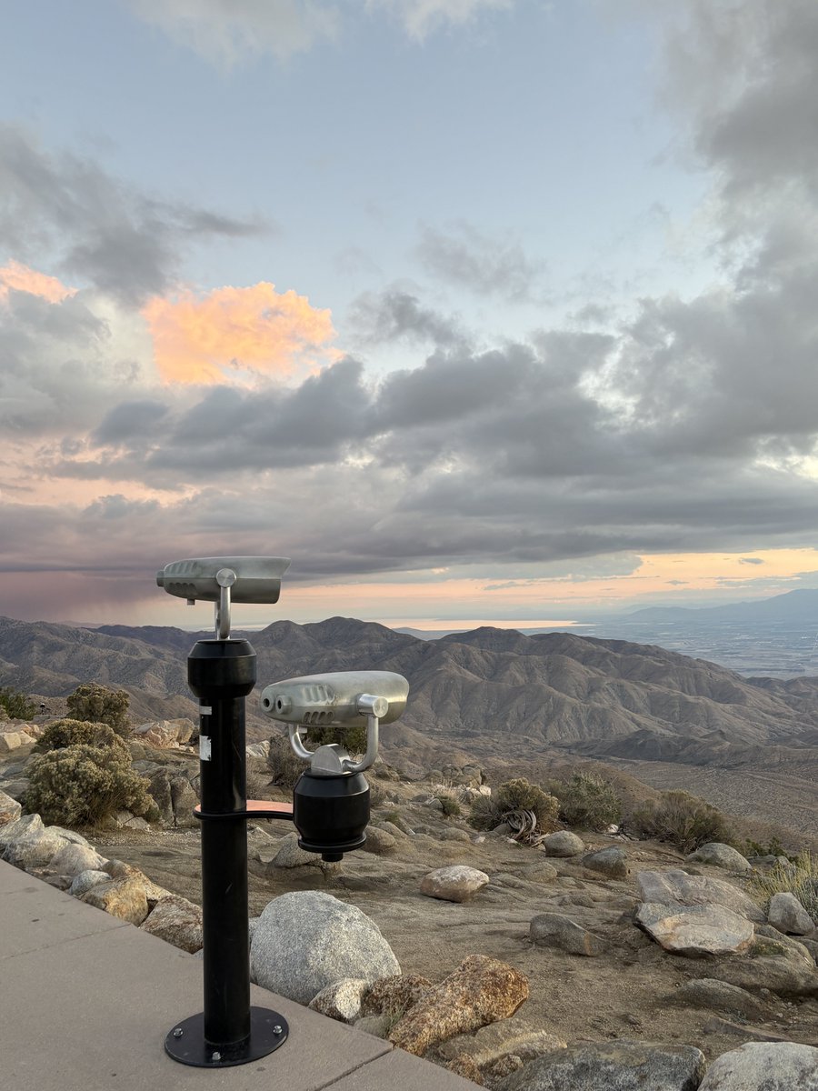 6batsinacoat's tweet image. okay okay last pictures from joshua tree :)