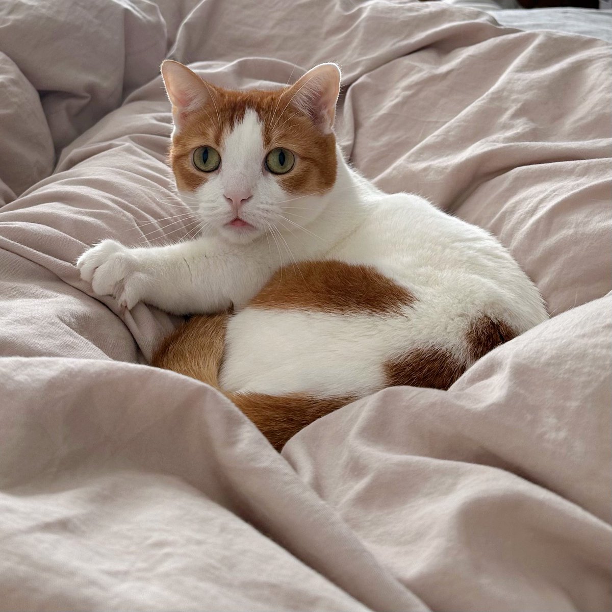 も&もちもな (@m____o) / Posts / X