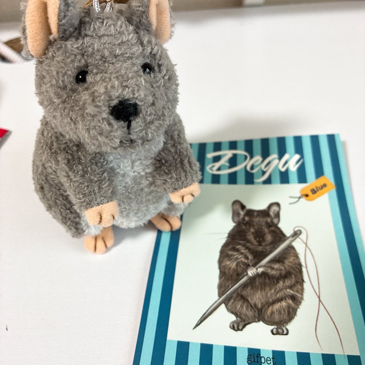 ume_suama's tweet photo. デグーぬいぐるみ届いた‼️ https://t.co/HXqfP2uvPD