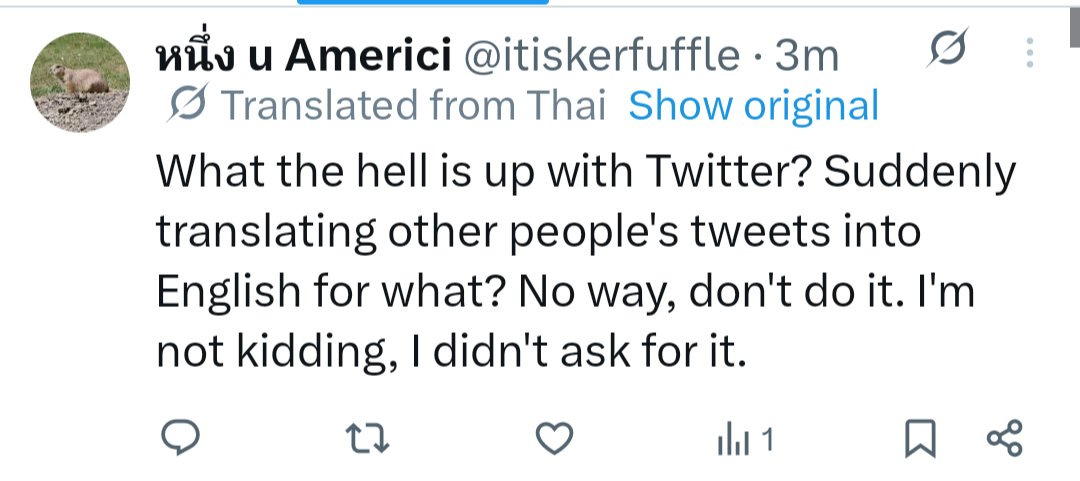 แล้วคือแปลดีมาก อิเวร